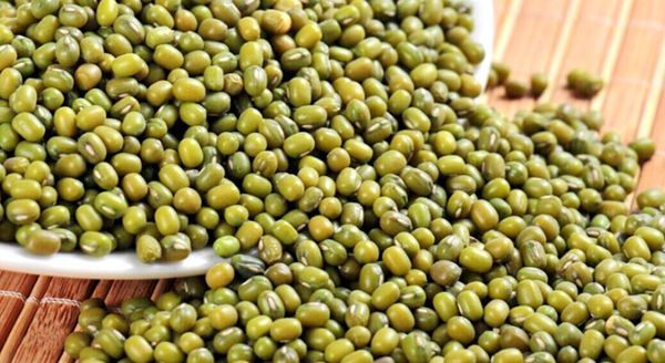 缅甸绿豆60%出口中国