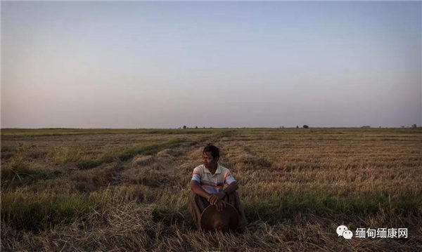人权观察：缅甸政府应尽快解决非法征收土地问题