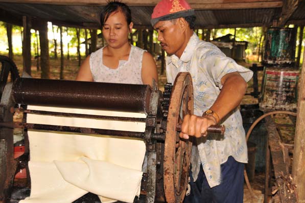 缅甸将加入世界橡胶生产国家组织