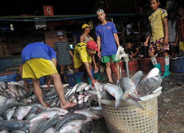 缅甸计划向泰国输出6万名水产业工人