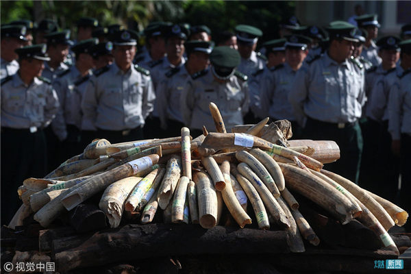 缅甸集中焚毁走私象牙 黑烟滚滚