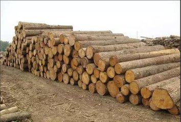 缅甸近几年来的木材生产情况
