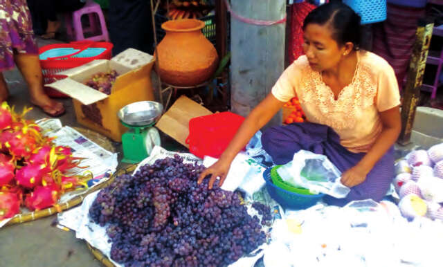 曼德勒省央米丁县区今年葡萄丰收果农们收入良好