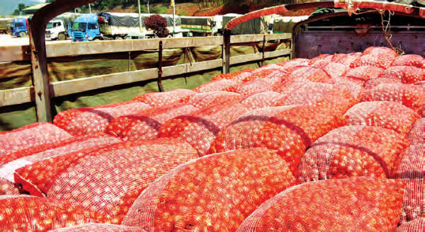 边境口岸旷日持久洋葱商人叫苦