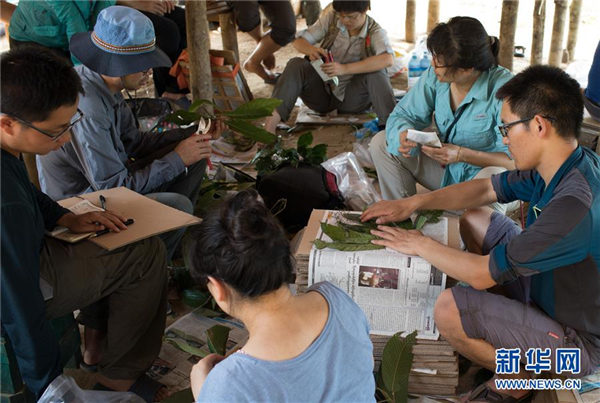 中缅在缅北开展联合科考