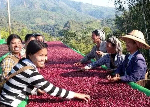 开拓咖啡行业的新时代