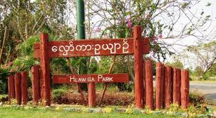 仰光省的鱼苗培育基地为渔民们提供18种鱼苗