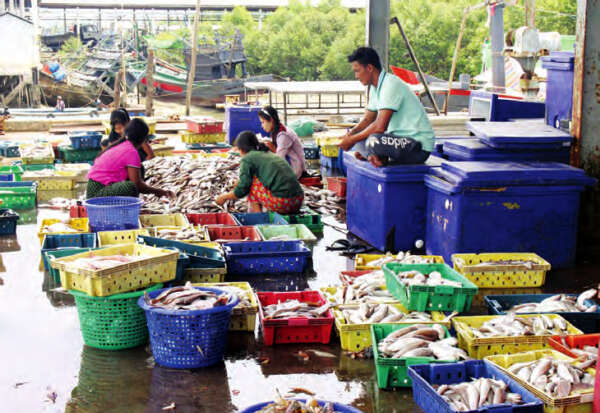 丹老地区的渔民及水产工作者都已认同禁渔法令了