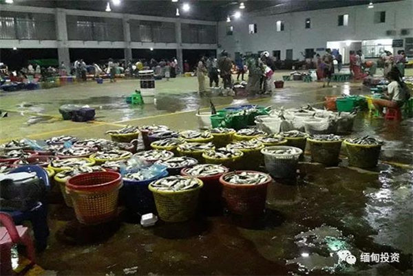 缅甸鱼类市场消费需求在COVID-19期间下降