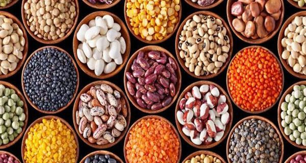 本财年至4月底对外出口豆类的总额超过6.91亿美元