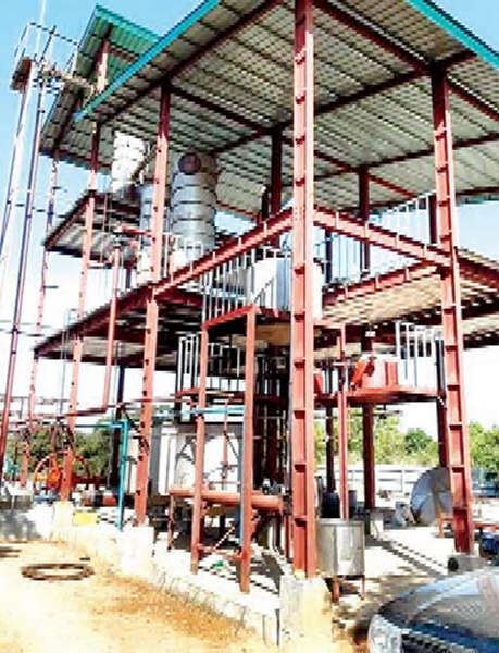 缅甸将采用机械方法生产棕榈糖及棕榈粉