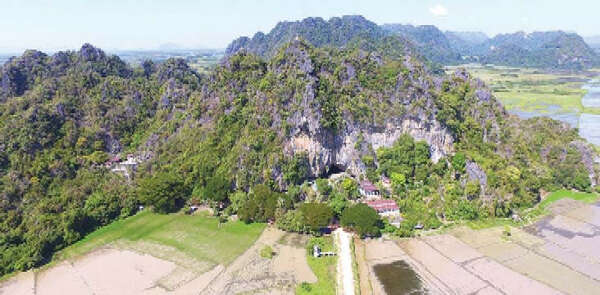 缅甸发现的新品种蛤蚧有必要加强维护工作