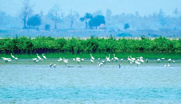 缅甸的第6个湿地保护区