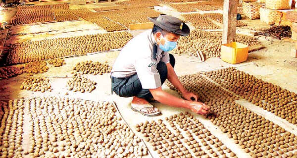 林业部门绿化山林的新方法