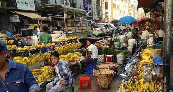 每周向路边摊贩分发补助金的总额将提高到20万美元