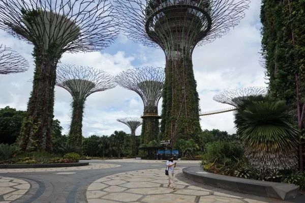 港媒：亚太各国欲借“旅行泡泡”重振经济