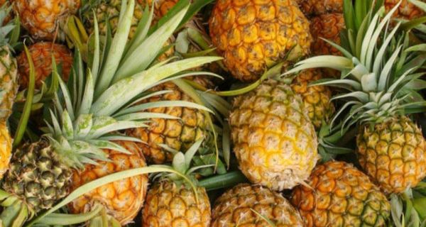 缅甸菠萝有意出口香港和新加坡