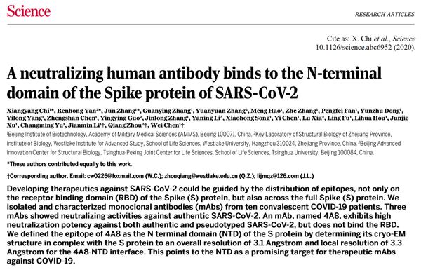 陈薇团队：新型冠状病毒抗体研究取得重大突破