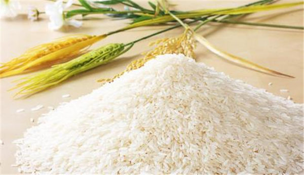 缅甸的大米出口限制有所放宽