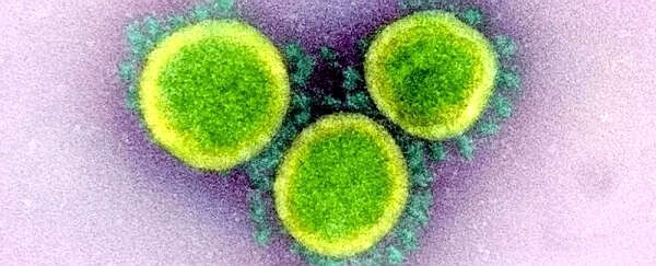中美科学家发现麻风病药或能抑制新冠病毒