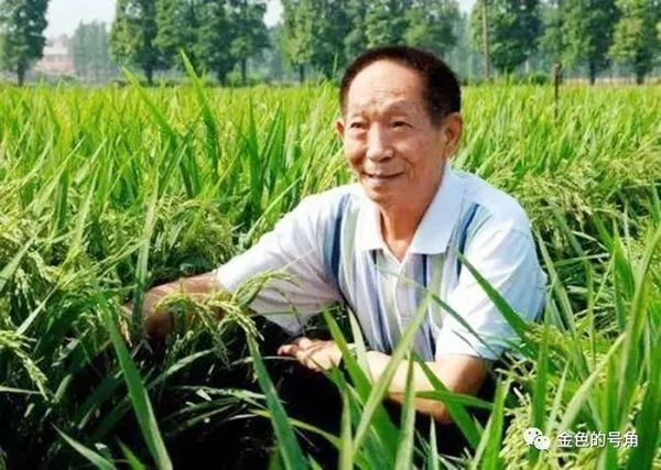 袁隆平:没有华主席,哪有我今天？