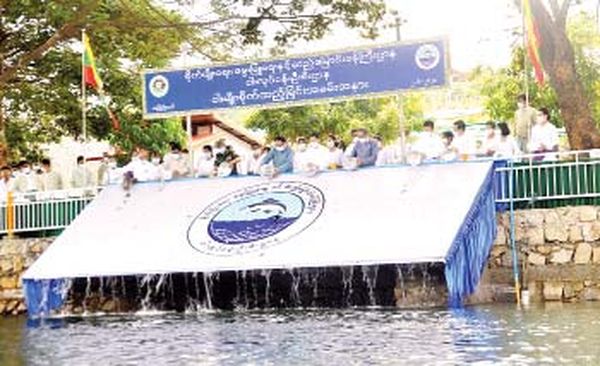 今年缅甸将投放1亿多尾鱼苗