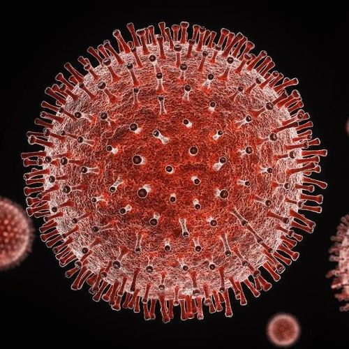 法国研究：该国去年流行的新冠毒株与中国无关