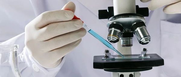 高尚！24位国际专家在顶级期刊发表联合声明，再挺中国同仁