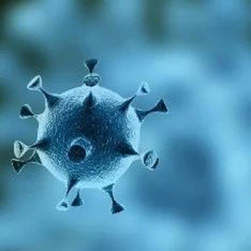 美媒：病毒学家驳斥新冠“实验室泄漏”说