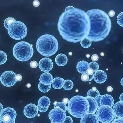 路径清晰！欧洲发现的新冠病毒来自德特里克堡！