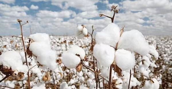 环球时报从国家安全机关独家获悉！