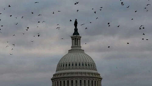 外交部：如果这些美国议员哪怕有一丁点对美国人民的责任感……