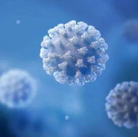 “请阴谋论者造一种灭蚊病毒，造不出就进监狱！”