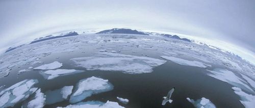 为了抹黑中国，这“联想”能力，绝了！