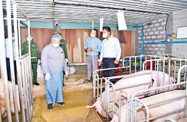 掸邦政府首席部长视察掸佑玛养殖专业区