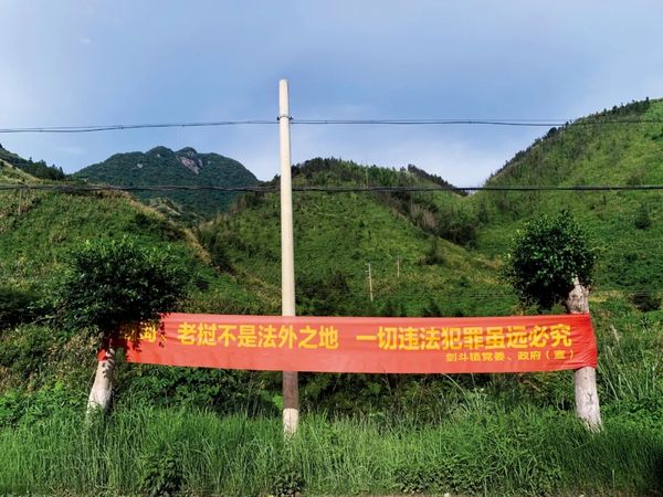 盛产铁观音的安溪，为何成了最早搞电诈的“福建口音”？