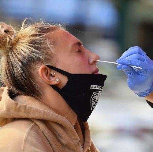 翻译翻译，什么是