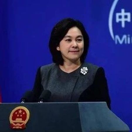 华春莹：民主不应该是可口可乐 很多中国人都喜欢北冰洋
