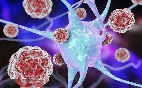 关于缅甸发现新冠病毒变异毒株的公告