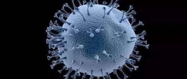 重大线索！华南海鲜市场疫情前收到可疑美国海鲜