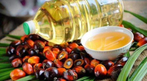 为了自己的健康为了国家的利益应慎重对待棕榈油进口情况