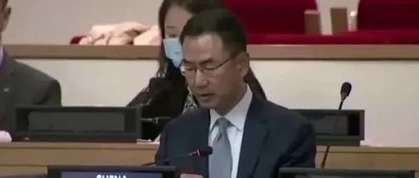 耿爽点名美国、日本