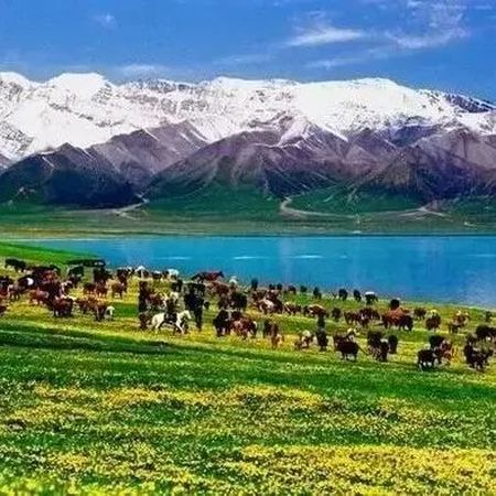 现在回新疆，关键词是