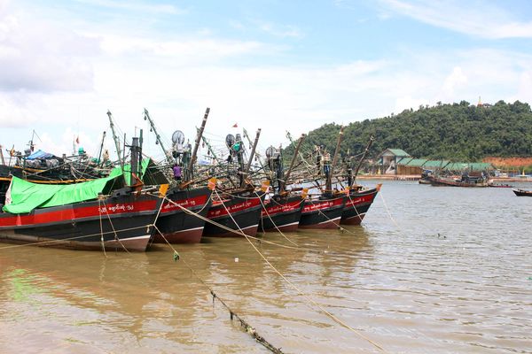 仰光省远洋捕鱼船每天捕获鱼虾50万缅斤