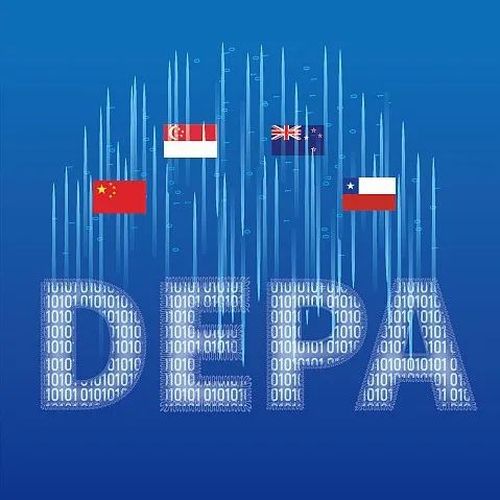 中方正式提出申请加入DEPA