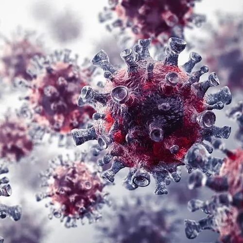 世卫组织将召开紧急会议