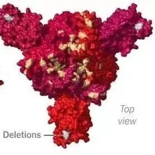 国家卫健委权威解答！
