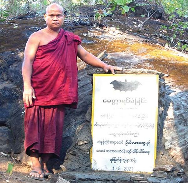 维护蝙蝠与蝙蝠洞的工作