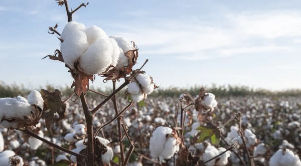 美国涉疆谎言，只会让中国社会更团结