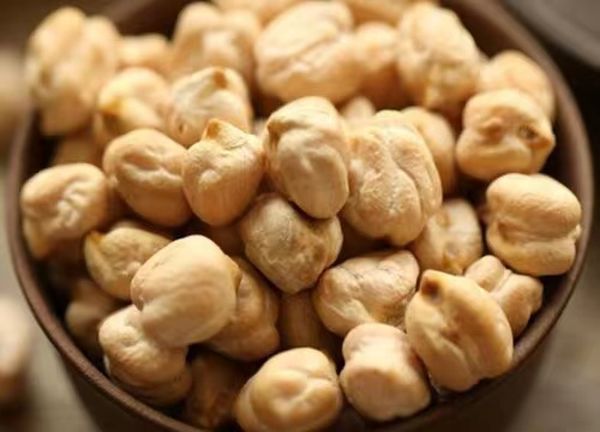 曼德勒省密铁拉专区冬作物鹰嘴豆已种植了43,000多英亩